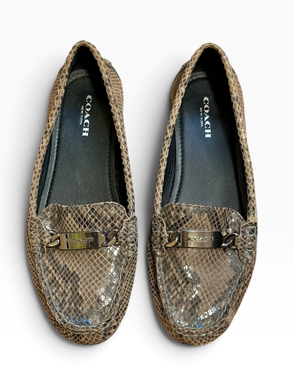 Coach Grey & Olive Snakeskin Leather Driver Loafers - Size 6B / EUR 36